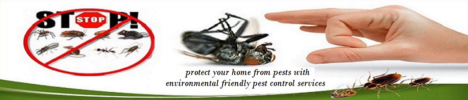 best-pest-control-services